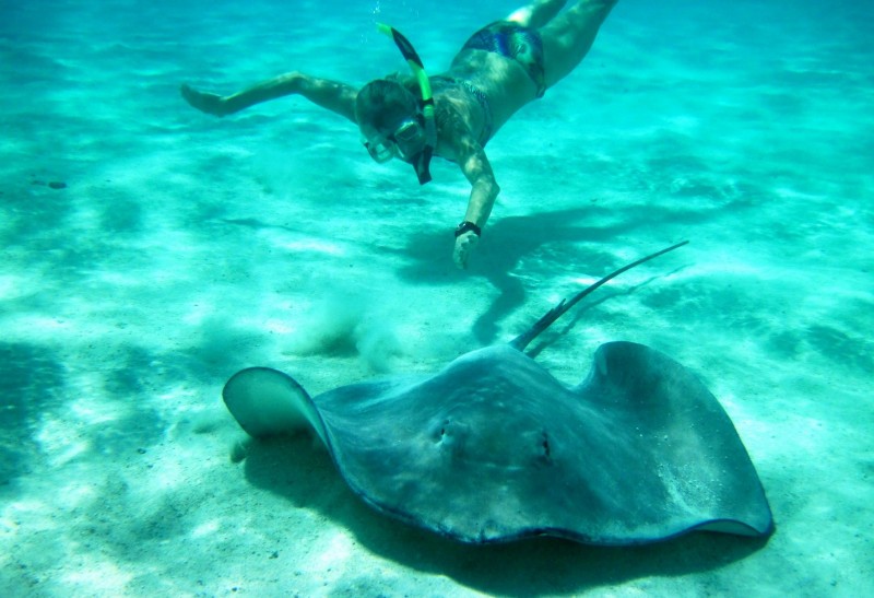 Galapagos snorkelling