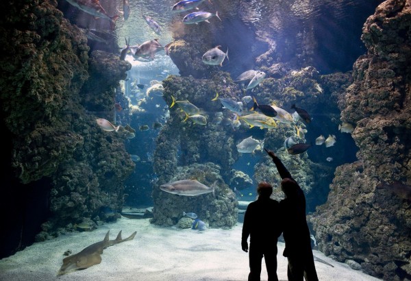 musee oceanogrpahique What to see and do in Monaco
