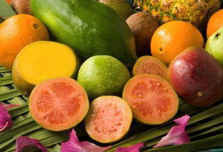 Fruit Up Your Caribbean Charter
