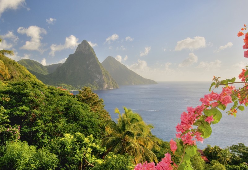 Charter St Lucia