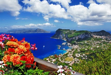 Capri with Flowers