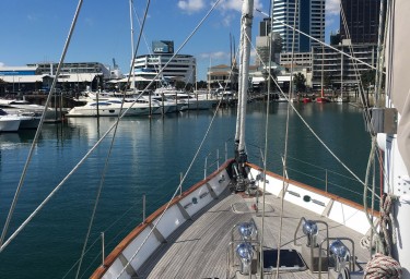 YONDER STAR in Auckland