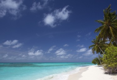 White Sand Bahamas Beach
